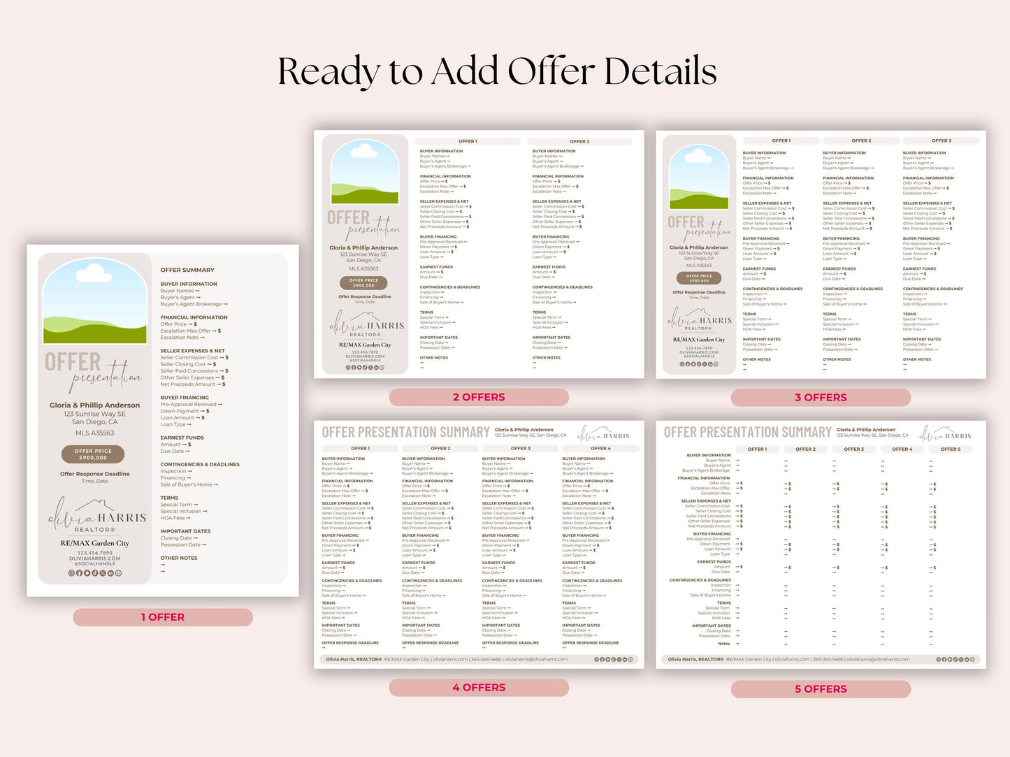 Multiple Offer Presentation