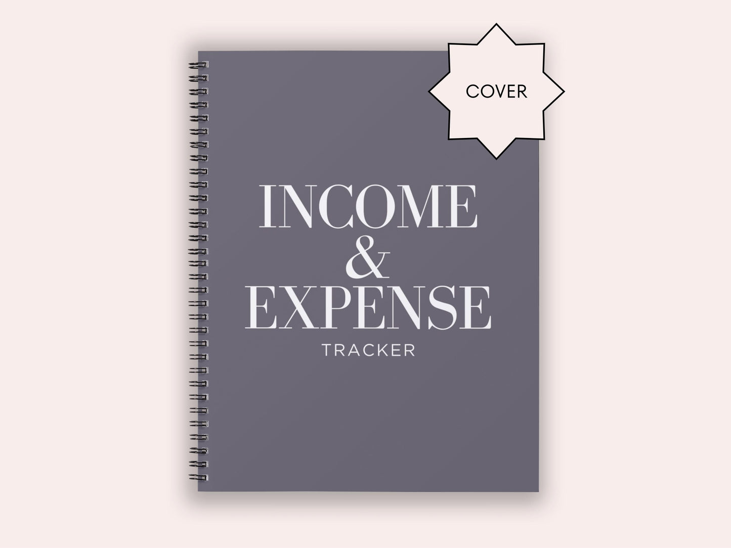 Income & Expense Tracker