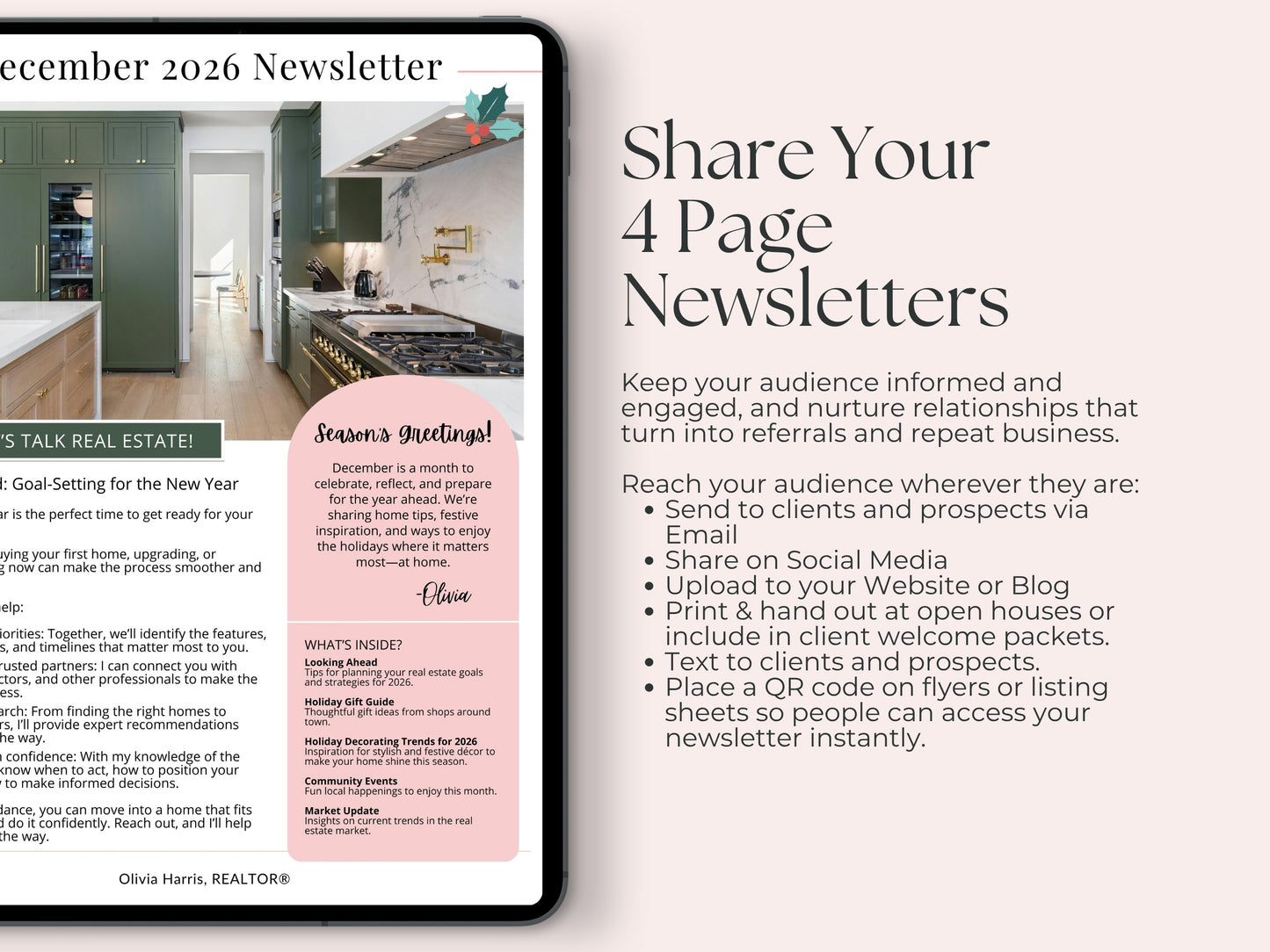 Newsletter Bundle Volume 2