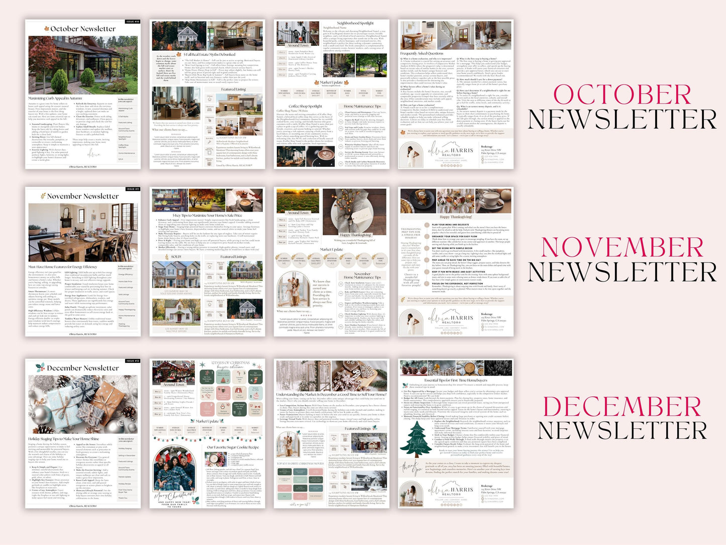 Newsletter Bundle Volume 1