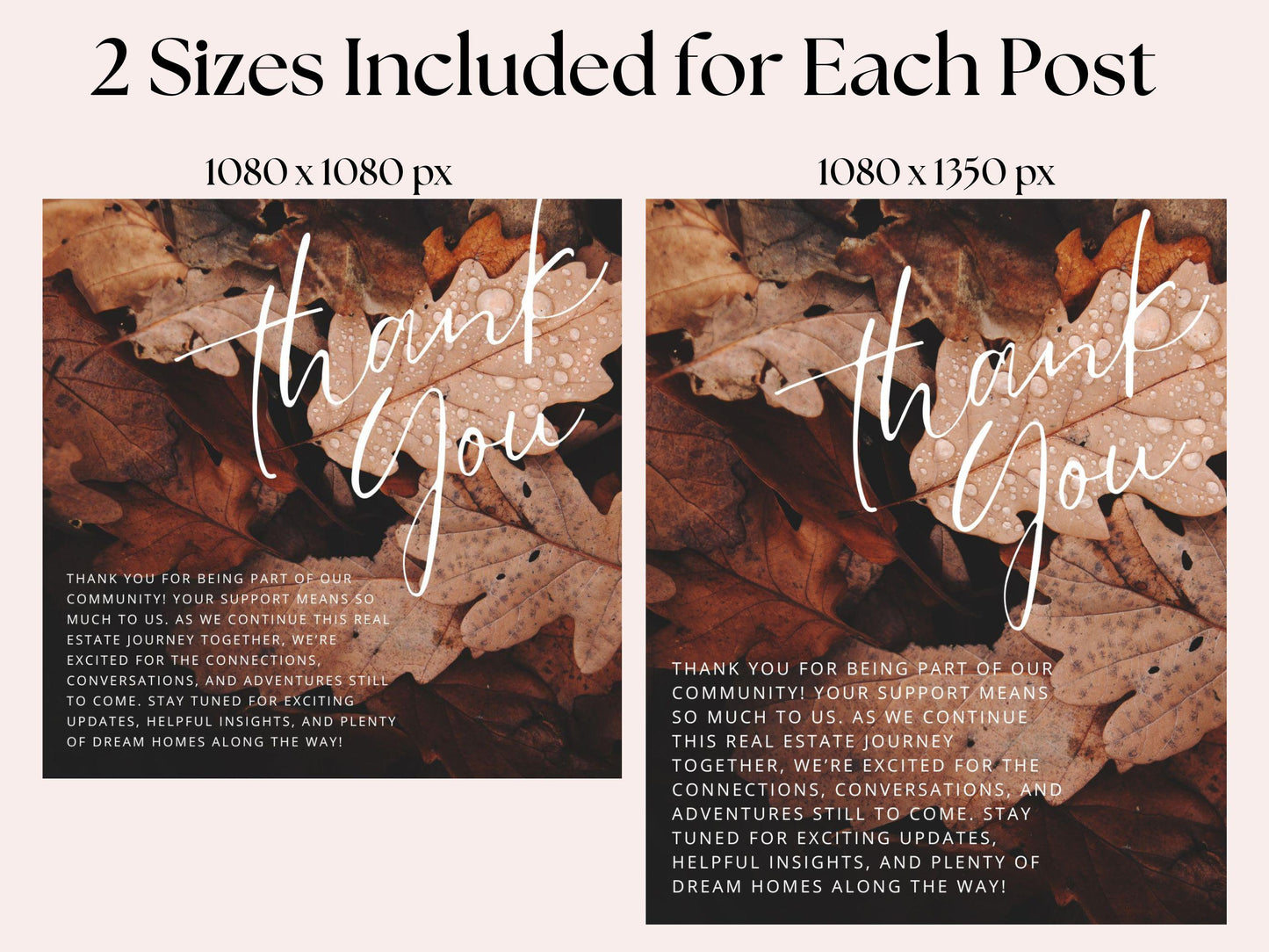 Fall Instagram Marketing Templates