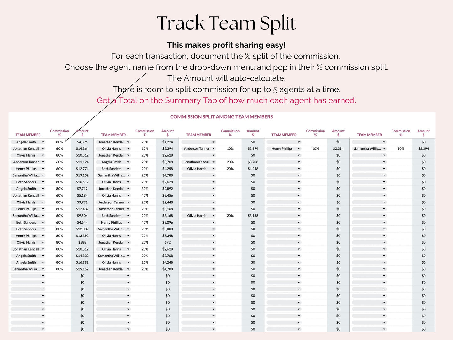 Team Income and Expense Tracker