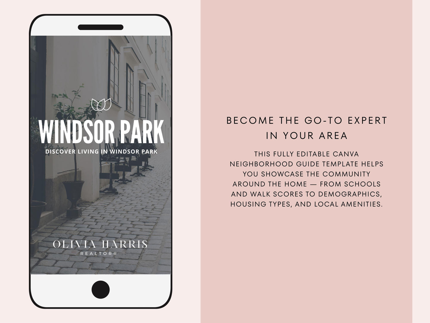 Neighborhood Guide