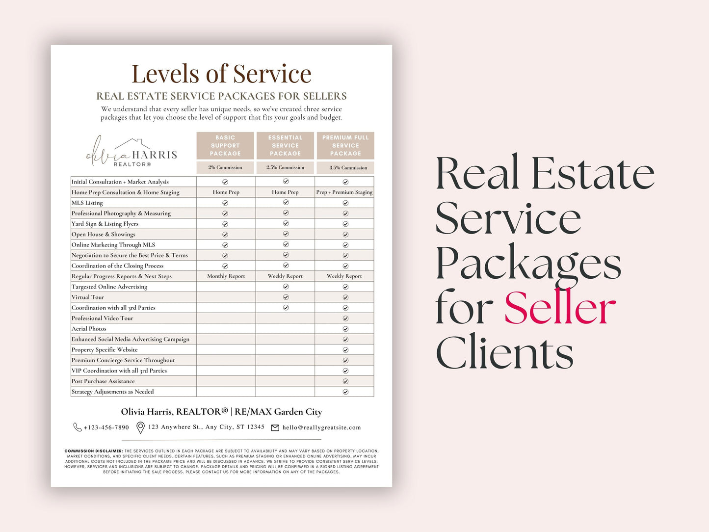 Service Tiers Flyer