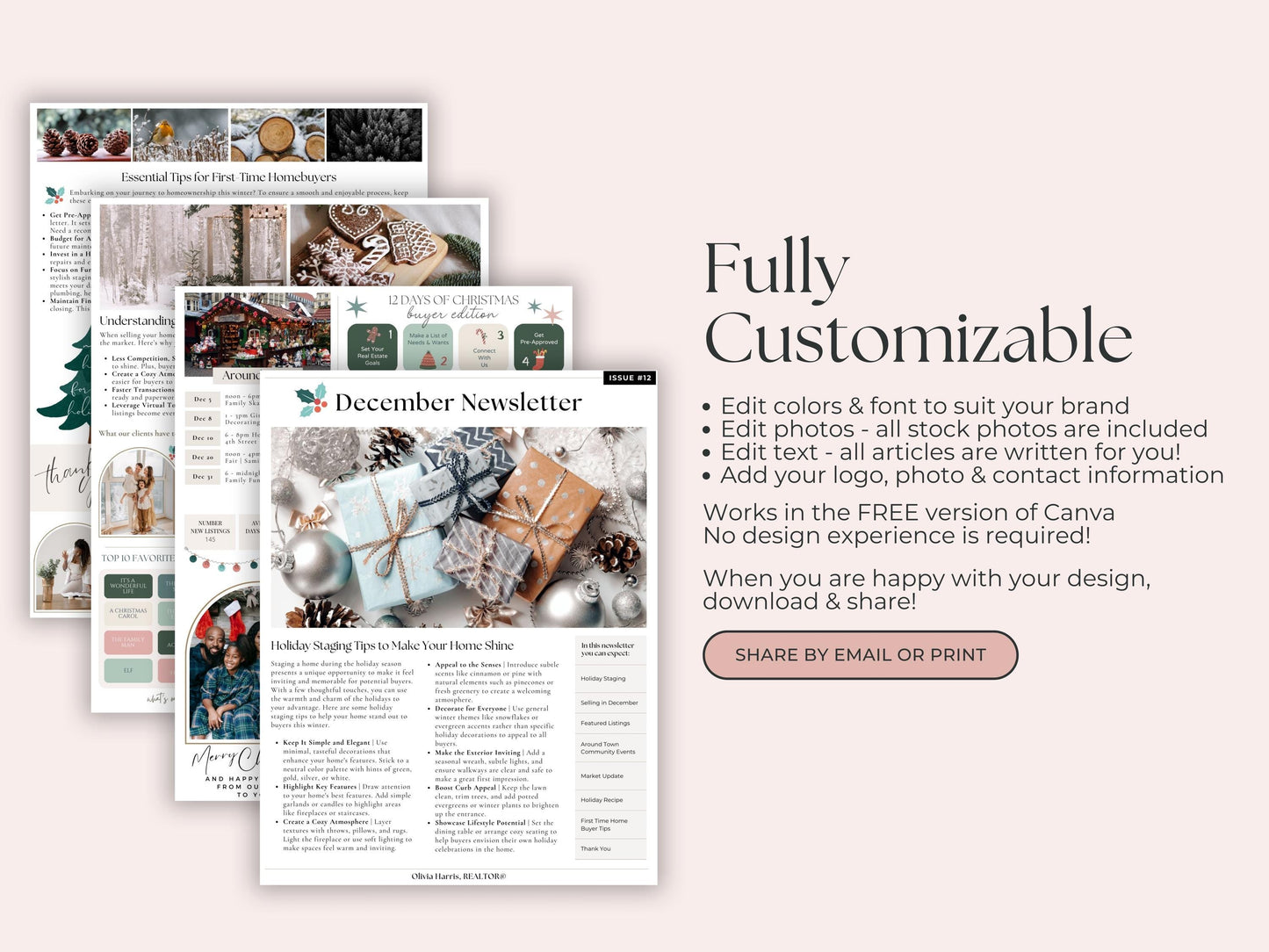Newsletter Bundle Volume 1